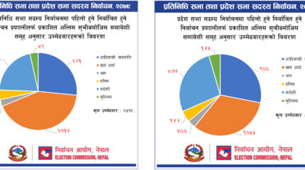 प्रतिनिधिसभा र प्रदेशसभाको उम्मेदवारीमा खस आर्यकै बर्चस्व  प्रतिनिधिसभामा ४२ प्रतिशत प्रदेश सभामा ३२ प्रतिशत