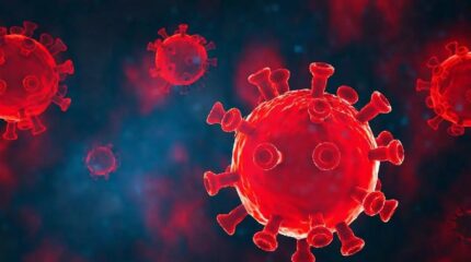 आज १ जनामा कोरोना संक्रमण पुष्टि