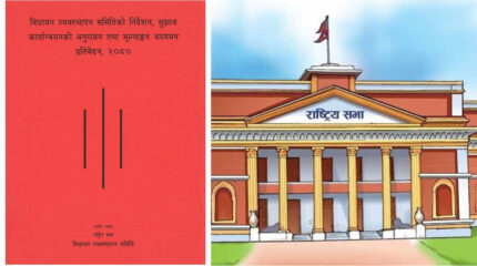 संसदीय समितिले भन्यो- ‘भूमिहीन दलितलाई जग्गा दिने संवैधानिक प्रतिबद्धतामा सरकार चुक्यो’