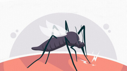 डेंगुबाट देशभर १३ हजार संक्रमित, सुनसरीमा मात्रै ७ हजार