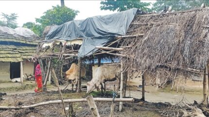 मुसहर बस्तीमा डोजर चलाउने तयारी, उठीबासको त्रास