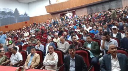 टक सेन्टरबाट गुटलाई सक्रिय बनाए सिटौलाले