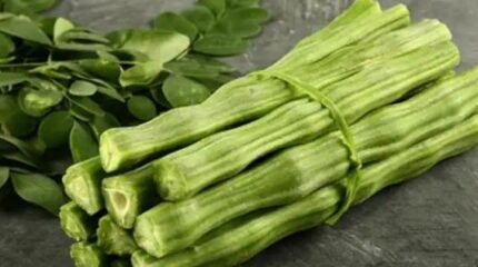 कस कसले झुक्किएर खानुहुन्न सजिवन, जान्नुहाेस्