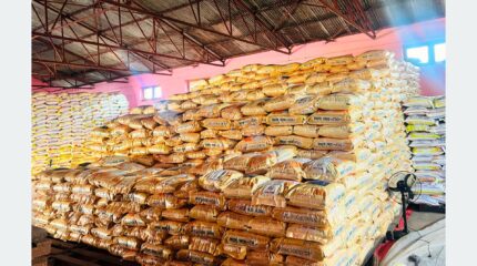 रैथाने बाली संरक्षणमा कर्णाली सरकार : बाँझो जमिन राख्नेलाई जरिवाना