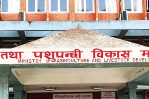 उत्पादन र बजारिकरणको अवस्था बुझ्न सरकारले थाल्यो कृषि सर्वेक्षण