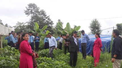 पढ्दै–कमाउँदै कार्यक्रम हटेसँगै सामुदायिक विद्यालय समस्यामा