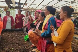 ‘उपाध्यक्ष आत्मनिर्भर कार्यक्रम’ मार्फत उद्यमशील बन्दै पौवादुङमा महिला