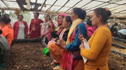 ‘उपाध्यक्ष आत्मनिर्भर कार्यक्रम’ मार्फत उद्यमशील बन्दै पौवादुङमा महिला