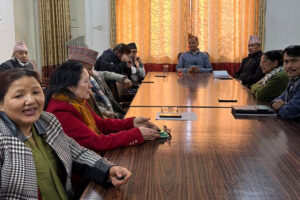 कांग्रेसद्वारा राष्ट्रियसभाको अधिवेशन आह्वान गर्न माग