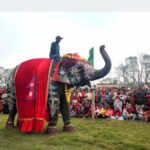 चितवनको पर्याय बन्दै ‘हात्ती तथा पर्यटन महोत्सव’