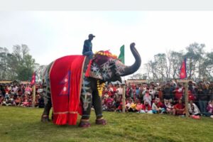 चितवनको पर्याय बन्दै ‘हात्ती तथा पर्यटन महोत्सव’