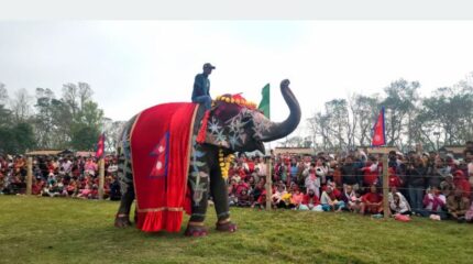 चितवनको पर्याय बन्दै ‘हात्ती तथा पर्यटन महोत्सव’